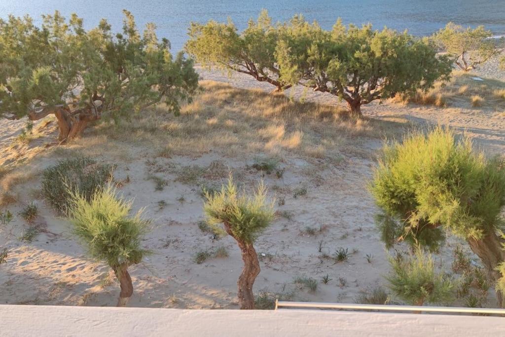Aegean Dream House Villa Kamares  Eksteriør bilde